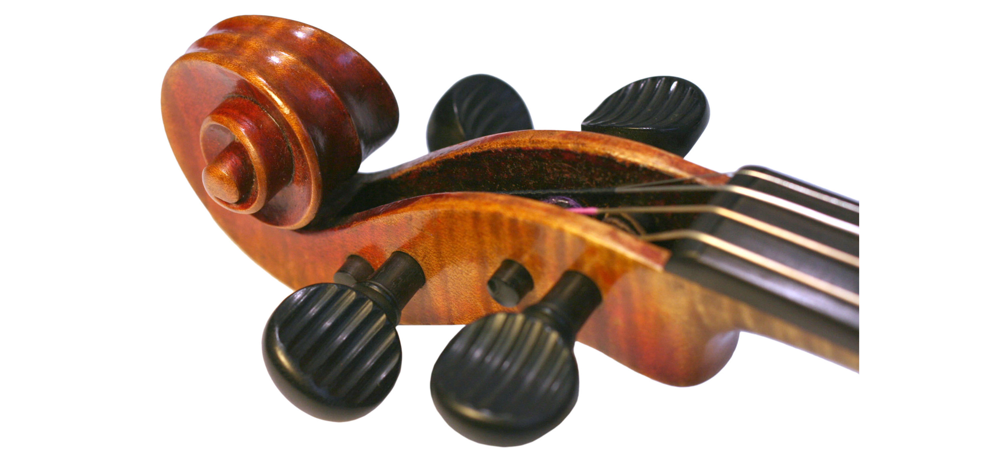 Arc De Violon Forenza FA05VNC Taille 3/4 - Bois Brésilien, Crins Naturels - Pour Étudiants